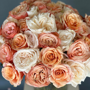 50 Garden Roses Nude Mix