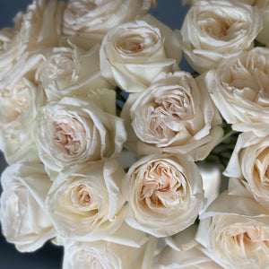 2 Dozen Garden Roses White Ohara