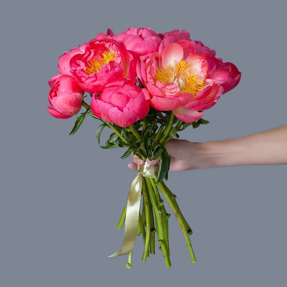Dozen Coral Peonies