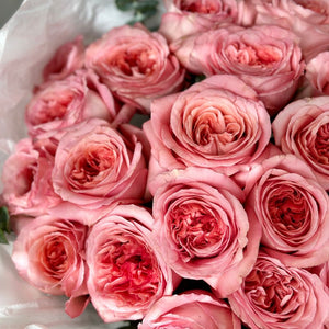 2 Dozen Pink Garden Roses