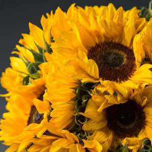 2 Dozen Sunflowers