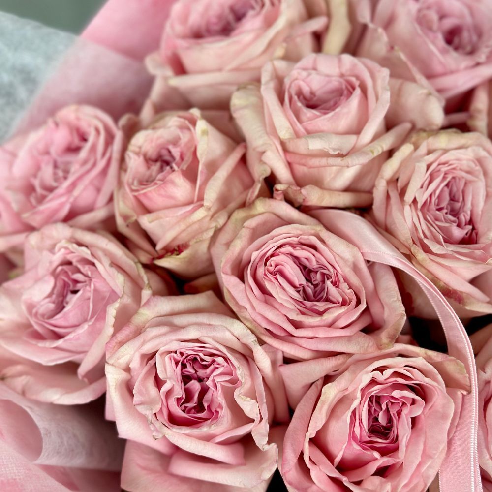 Dozen Garden Roses Pink Ohara