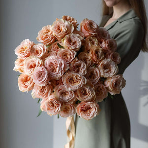 2 Dozen Peach Garden Roses