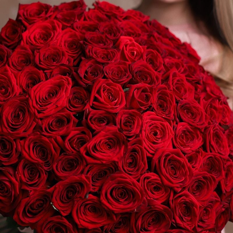 100 Classic Red Roses