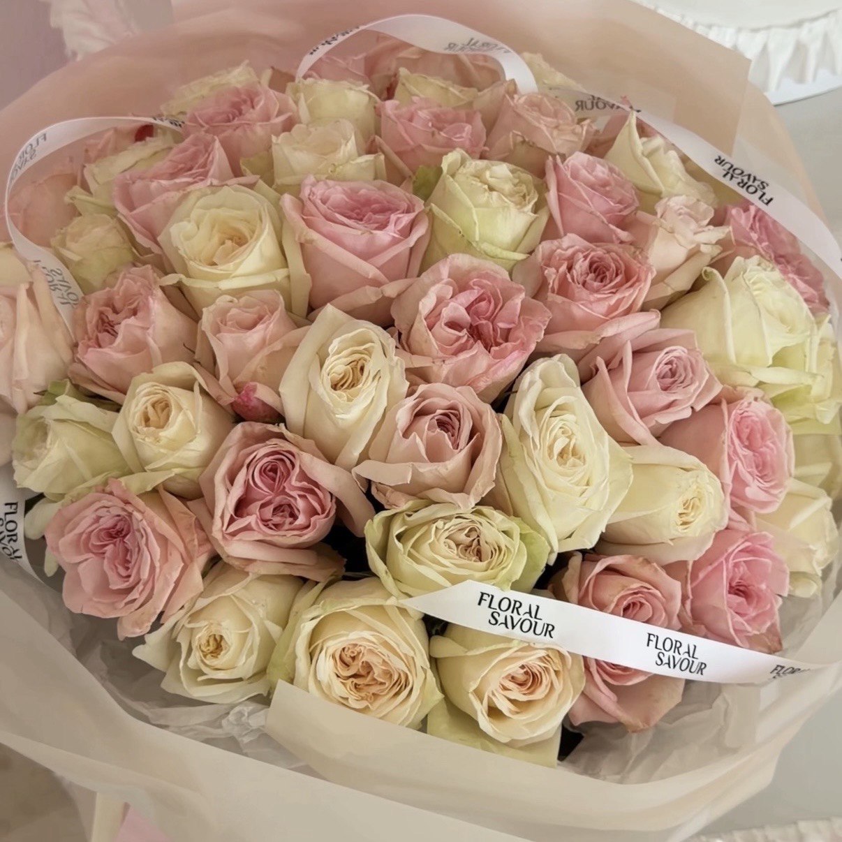 50 Garden Roses White&Pink Ohara